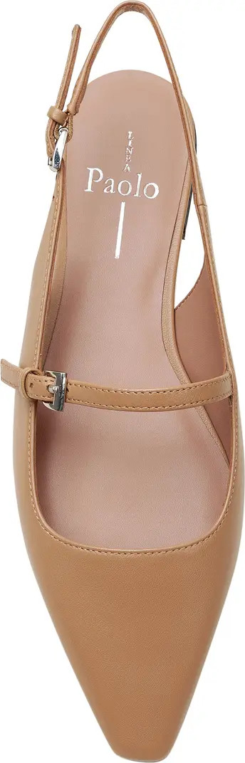 Celeste Slingback Pointed Toe Flat (Women) | Nordstrom