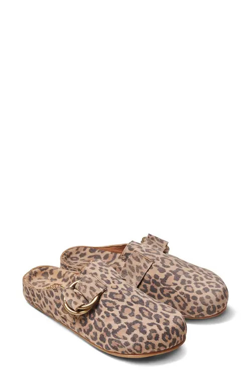 Beek Vulture Cheetah Print Mule in Leopard at Nordstrom, Size 6 | Nordstrom
