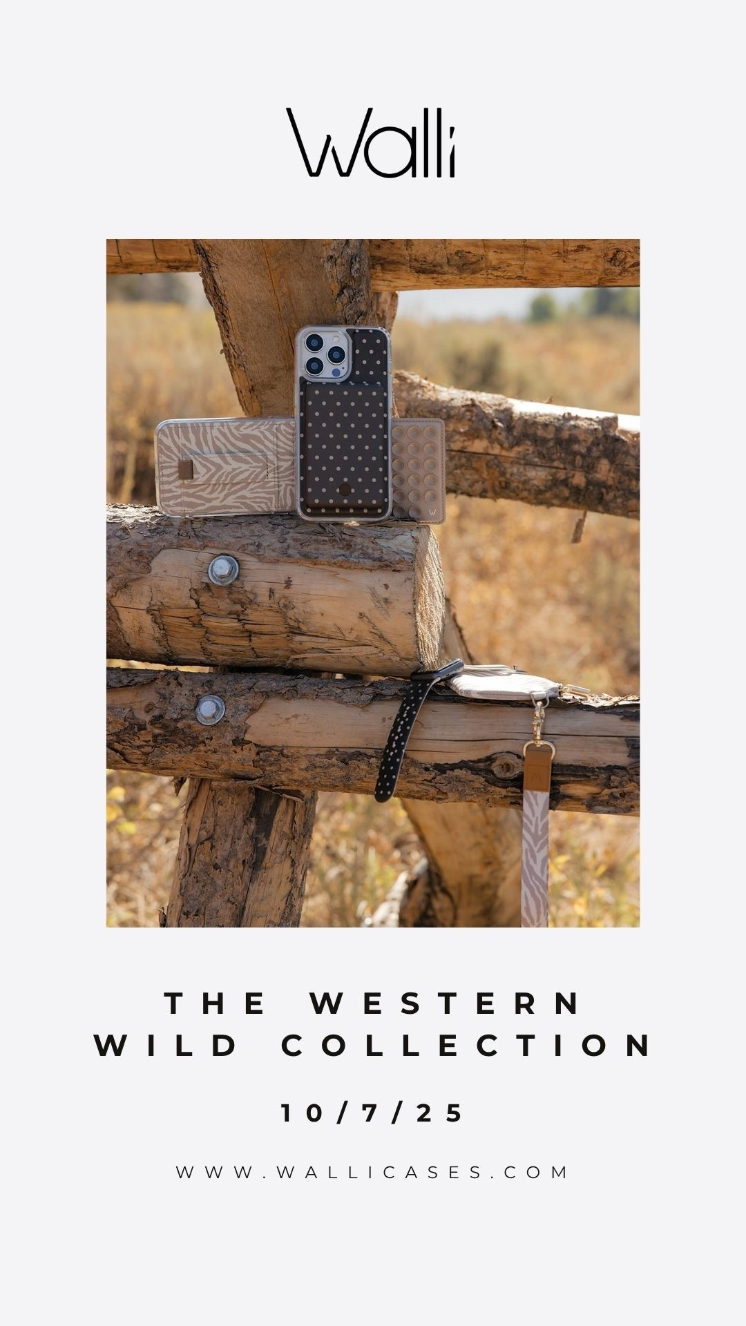 Use code Harrah10 for these new Walli Cases!

#LTKSeasonal #LTKFindsUnder100 #LTKFamily