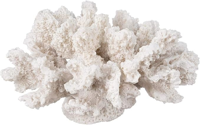 White Coral Decor - Coral Reef Decor (4inx3.5inx2.5in) - Resin Coral Decoration - Faux Coral - Na... | Amazon (US)