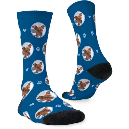 Floating Paws and Pets Custom Socks | Shutterfly