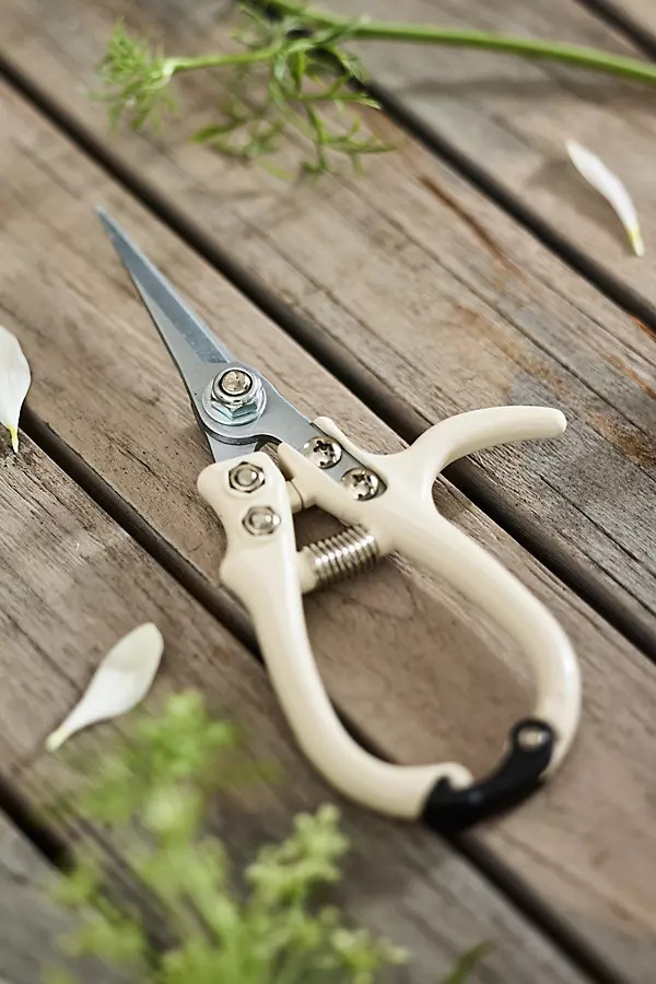 Pruner Snips in Beige at Terrain | Terrain