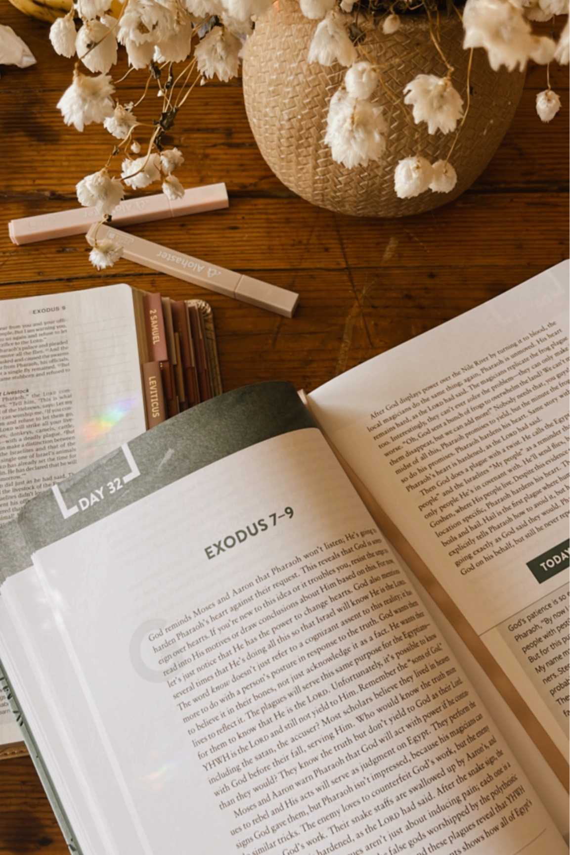 Loving the Bible Recap 🤍

#LTKGiftGuide #LTKhome #LTKSpringSale