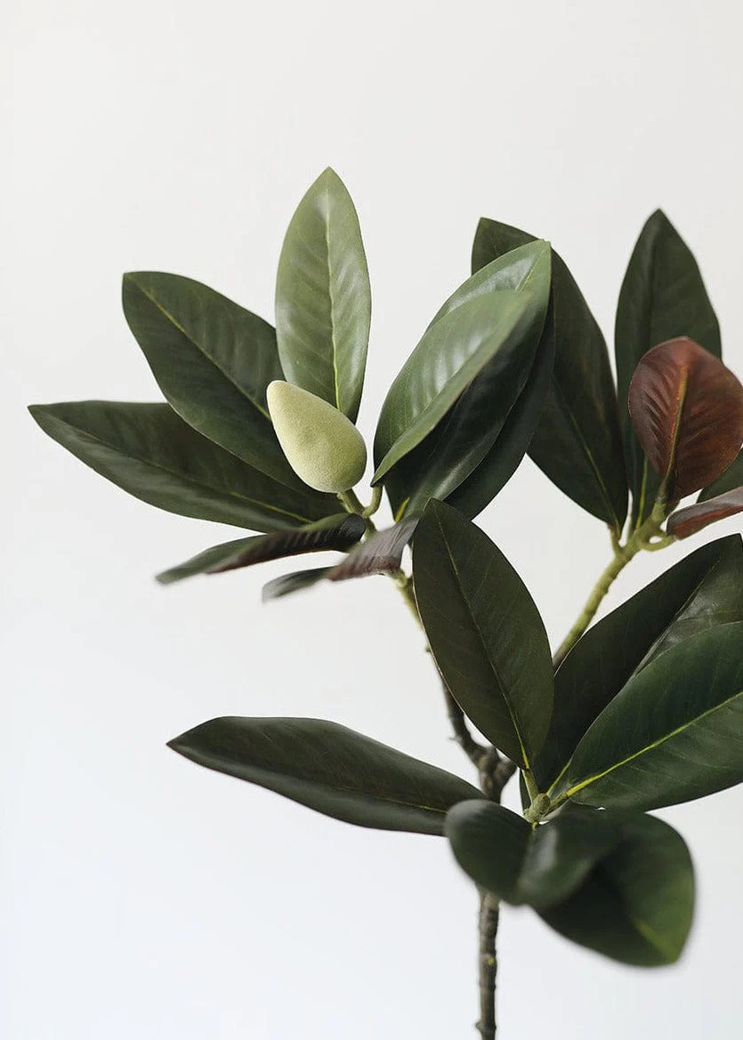 Artificial Magnolia Leaf Spray in Dark Green - 34.5" Tall | Afloral (US)