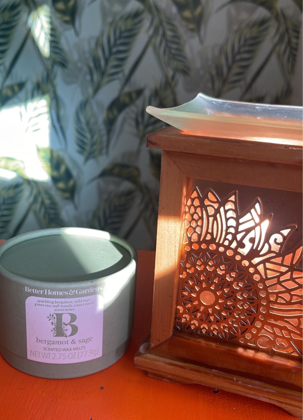 Favorite clean transition scent from summer to fall ☀️🍁🍂


#LTKhome #LTKSeasonal #LTKGiftGuide