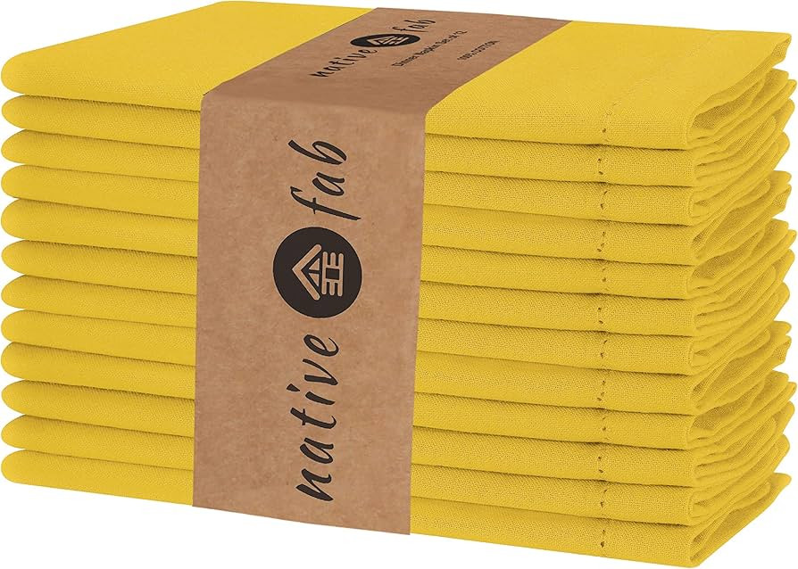 Native Fab Set of 12 Cloth Dinner Napkins Hemstitch 100% Cotton 18x18 Soft Comfortable Absorbent ... | Amazon (US)