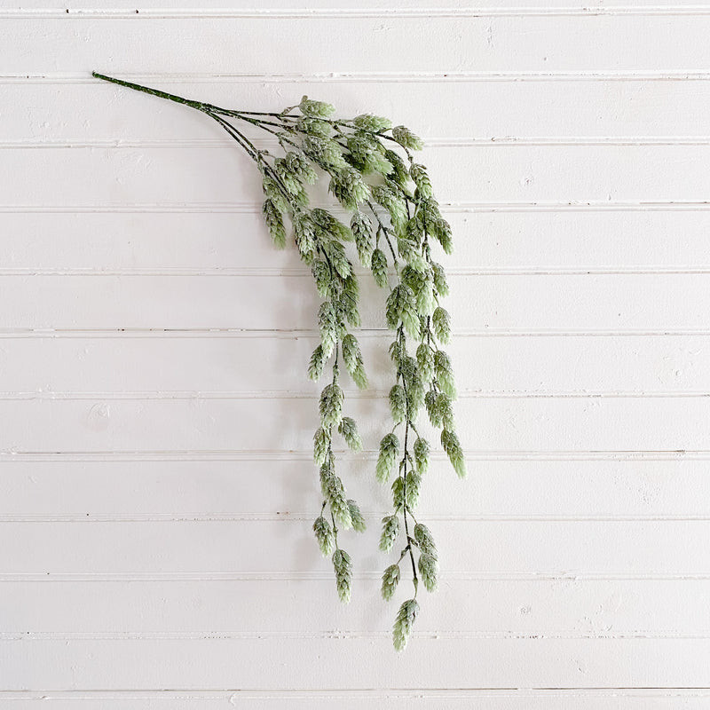 Frosty Hanging Green Hops Bush | Purple Rose Home