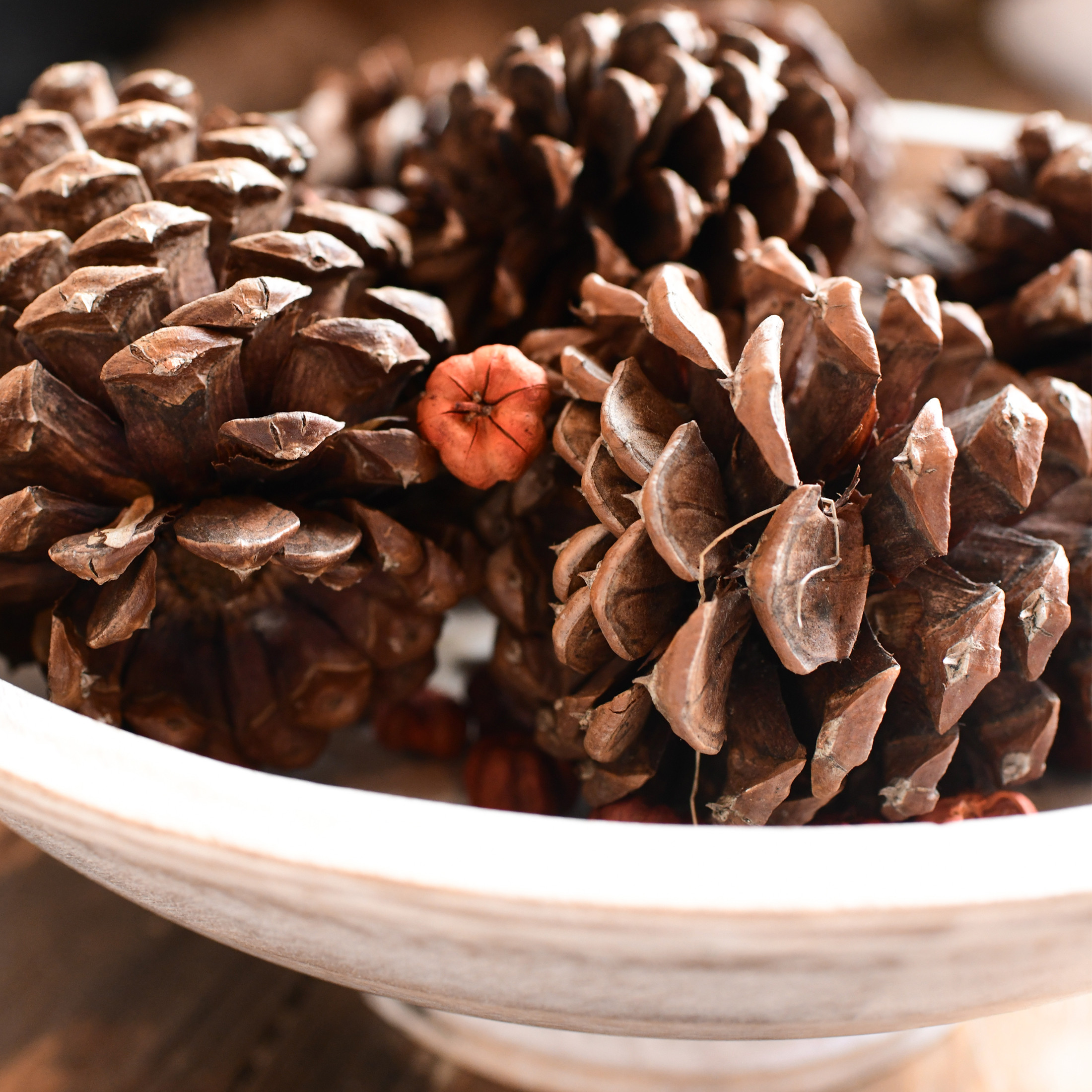 Holiday Time Apple Cinnamon Scented 100% Natural Brown Pine Cones with Fall Orange Putka Pods | Walmart (US)