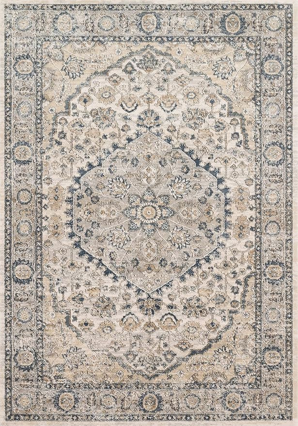 Loloi II Teagan Area Rug, 7'-11" x 10'-6", Natural/LT. Grey | Amazon (US)
