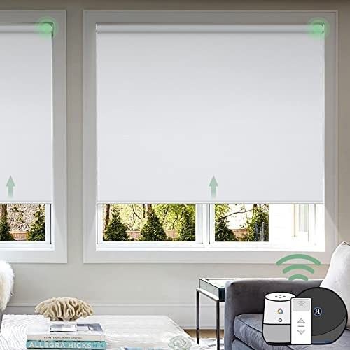 Graywind Motorized Roller Shade Blinds 100% Blackout Shades Cordless Waterproof Remote Control Windo | Amazon (US)