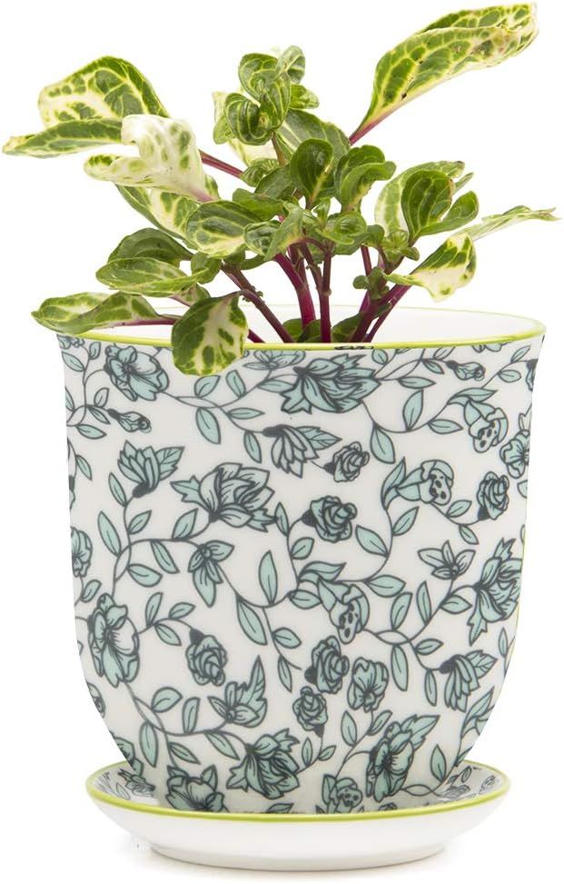 Chive ‘Liberte’ Ceramic Planter Pot — Cute, Beautiful Plant Pots for Indoor & Outdoor Flowe... | Amazon (US)