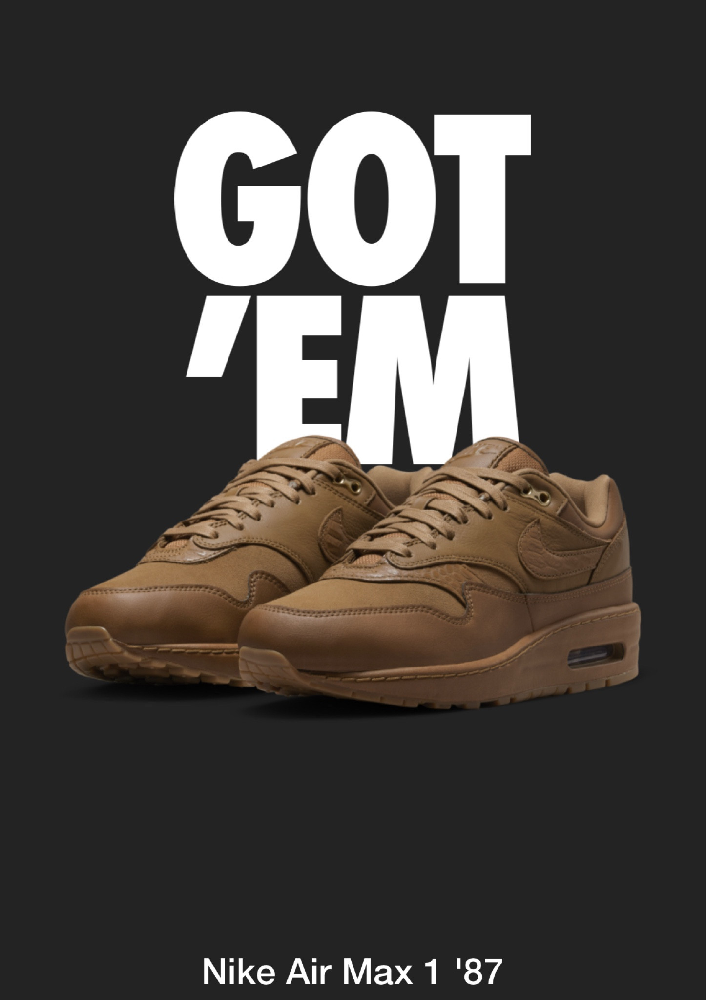Air Max 1 Luxe - Ale Brown Leather

#brown #tennisshoes #darkbrown #sneakers #leather

#LTKshoecrush