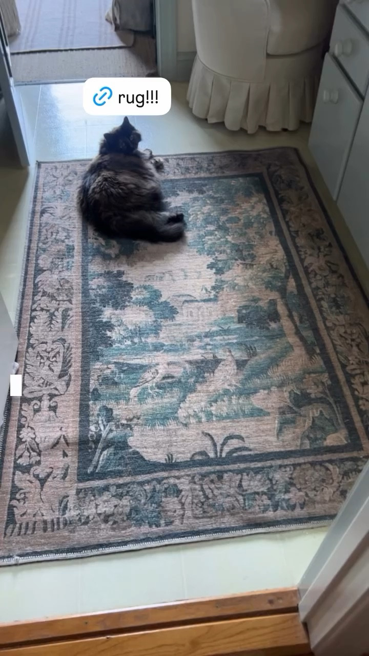 Rug! 

#LTKHome