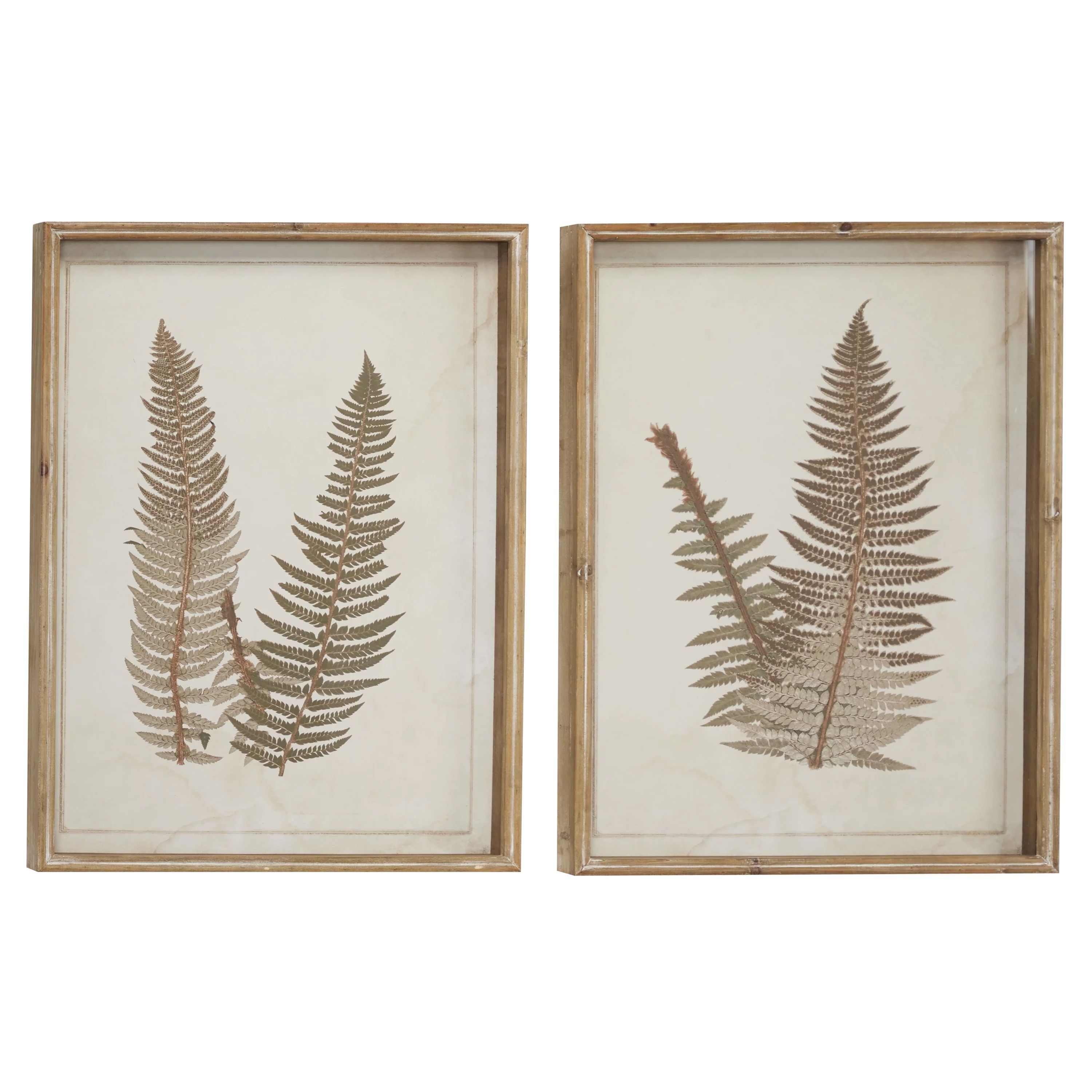 19" x 26" Fern Leaf Framed Wall Art with White Backing, by DecMode (2 Count) | Walmart (US)