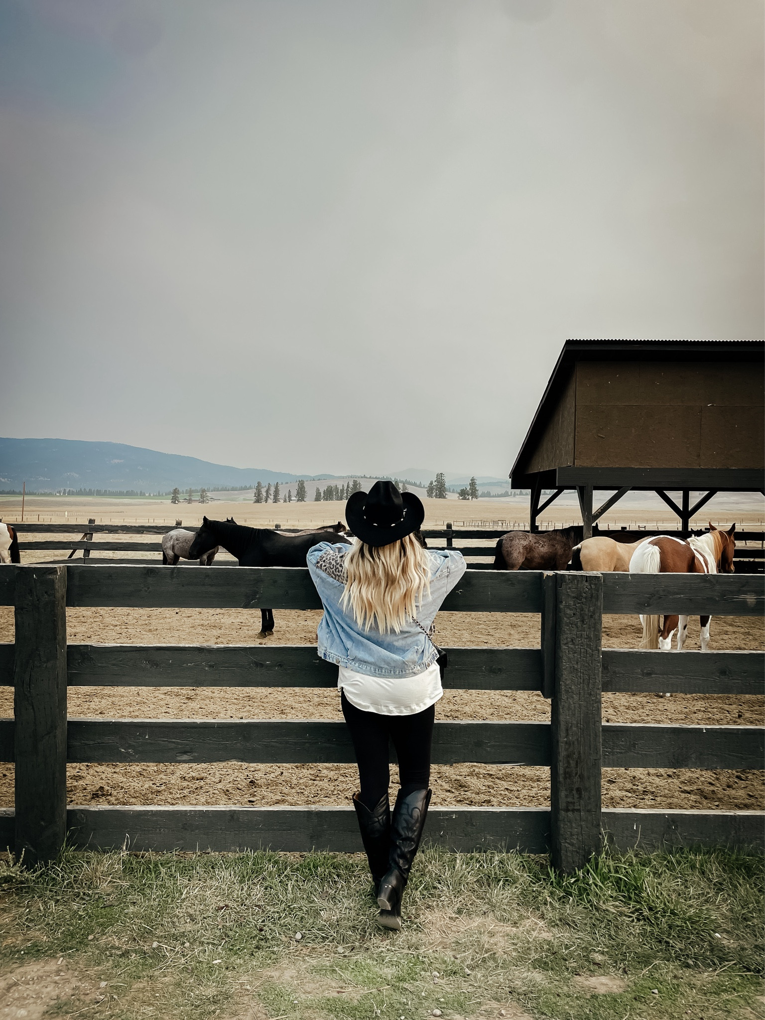 Sized up in the leopard  jacket. Leggings. Free people looks for less top. Long sleeev top. Cowboy boots fits ya.  Halloween costume. Ugg tazz. Ugg taz looks for less. Leggings outfit. Fall outfit. Fall fashion. Luggage. Travel outfit.  #ltksalealert #ltkvideo #ltksalealert #ltkvideo

#LTKVideo #LTKSaleAlert