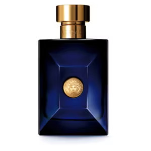 Versace Dylan Blue Eau de Toilette 100ml | Boots.com