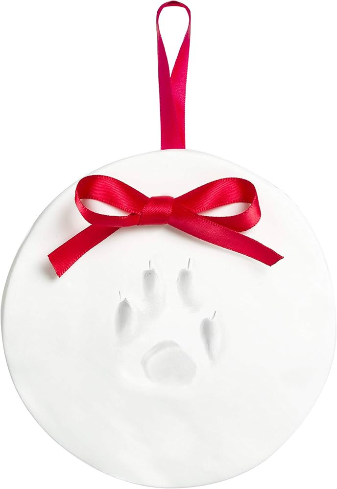 Tiny Ideas Christmas Paw Print Ornament Kit, DIY No Bake No Mess Holiday Keepsake, Dog or Cat Chr... | Amazon (US)