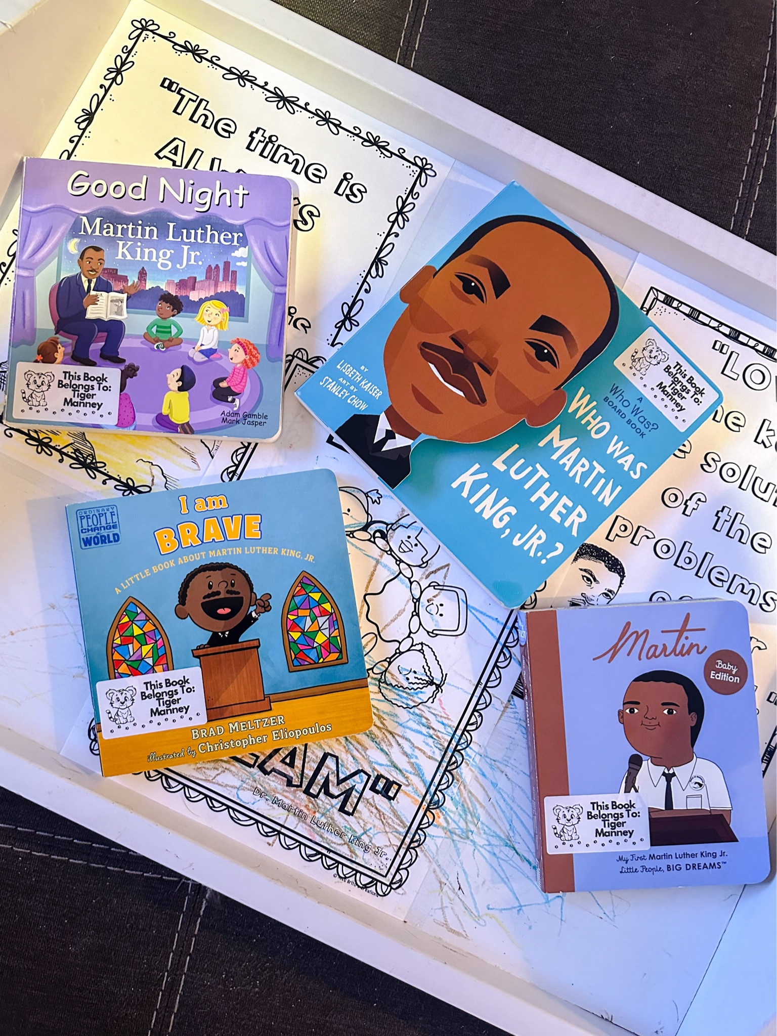 martin luther king jr. board books for little learners 🕊️📚📖

#LTKfamily #LTKkids #LTKbaby