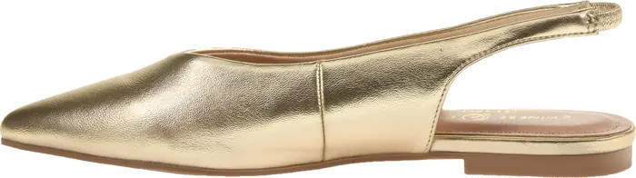 Hadiya Slingback Pointed Toe Flat (Women) | Nordstrom