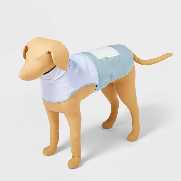 Spring Dog Jacket - Boots & Barkley™ | Target