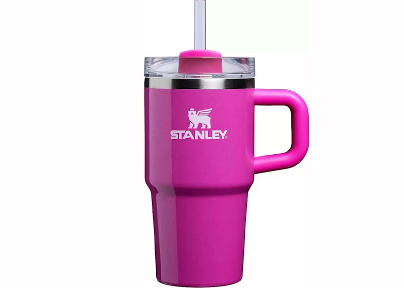 Stanley x Dicks Sporting Goods Winter Wonderland Collection Flowstate Quencher 20oz Tumbler in Punch Shimmer | StockX