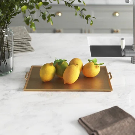 Nolia Aluminum Tray | Wayfair North America