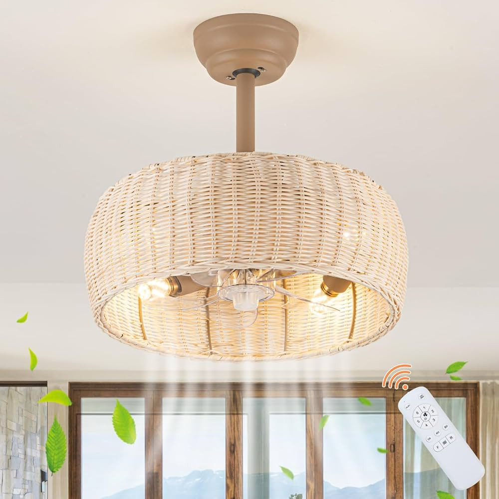 Rattan Ceiling Fan Lighting with Remote Control, Boho Caged Ceiling Fan Light Fixture with Revers... | Amazon (US)