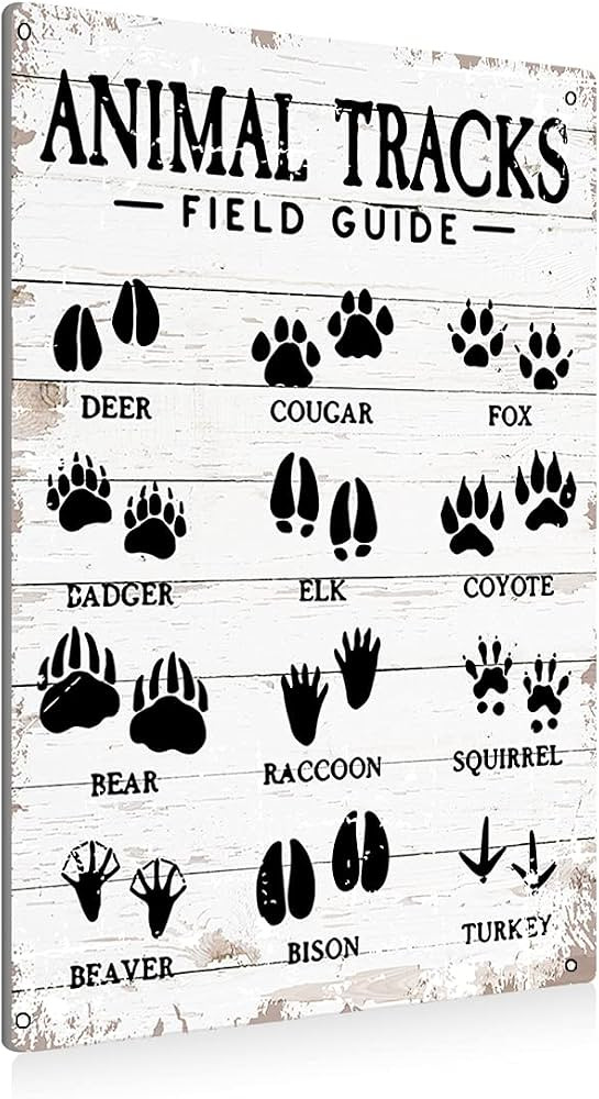 Animal Tracks Field Guide Sign Metal Tin Sign Wall Art Decor Farmhouse Home Rustic Decor Gifts - ... | Amazon (US)
