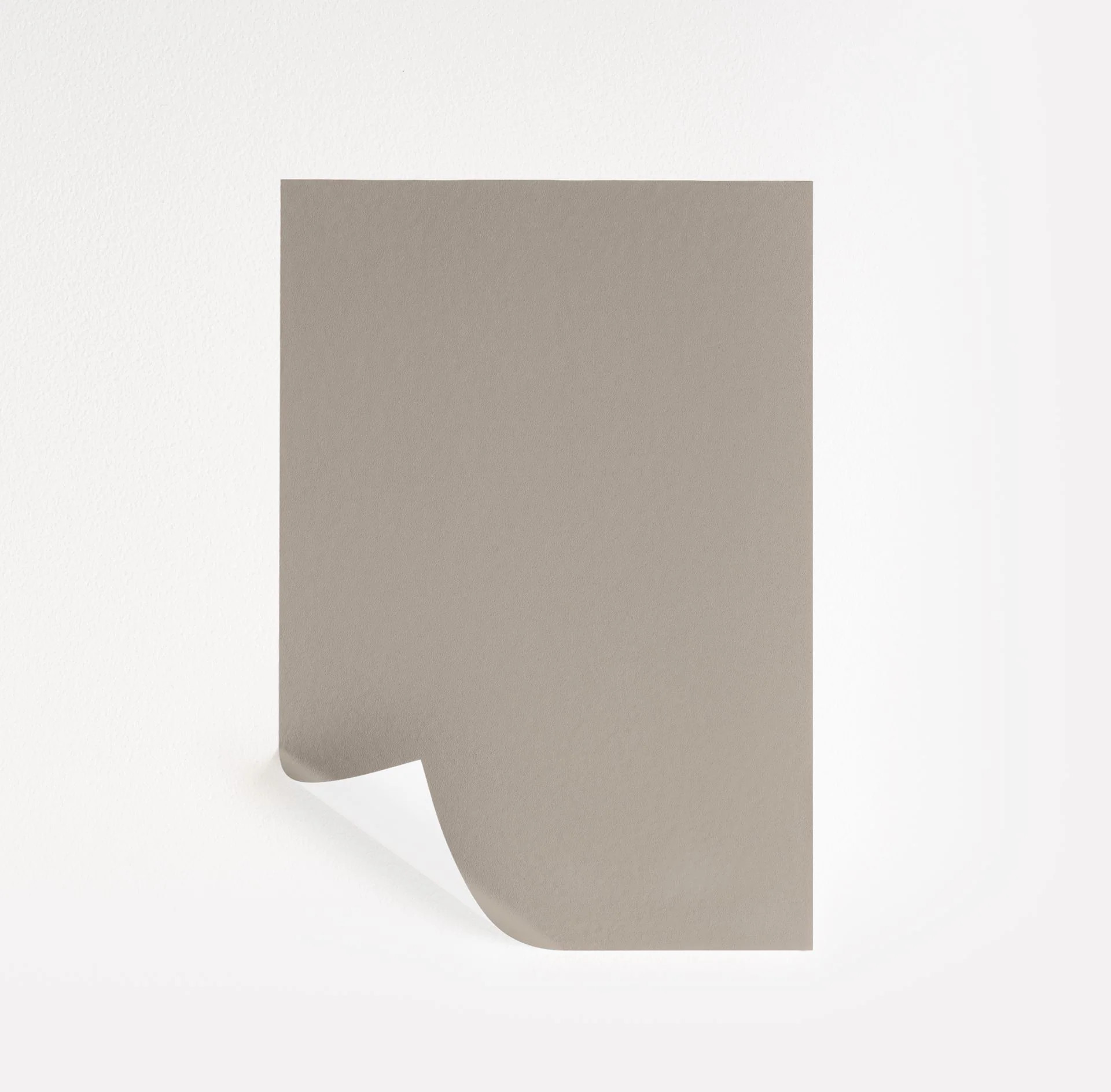 Perfect Greige  Paint Sample | Samplize
