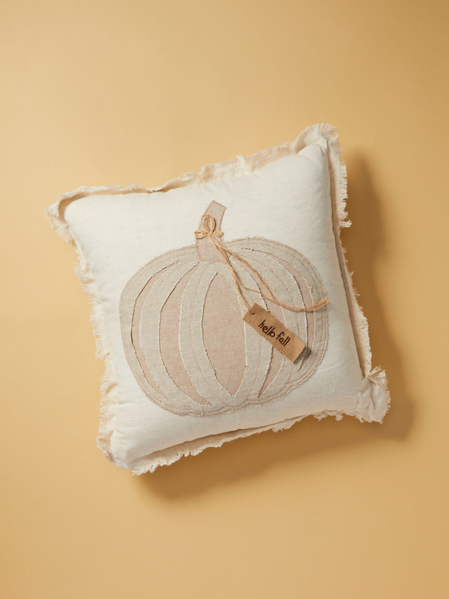Made In India 18x18 Fall Pumpkin Applique Pillow | Fall Decor | HomeGoods | HomeGoods