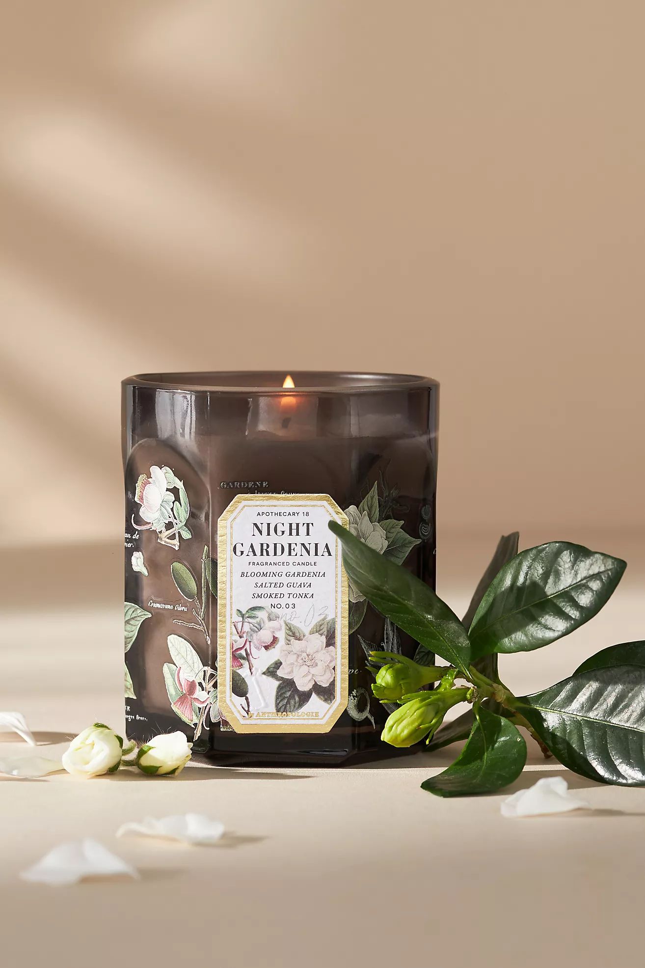 Apothecary 18 Floral Night Gardenia Small Glass Candle | Anthropologie (US)
