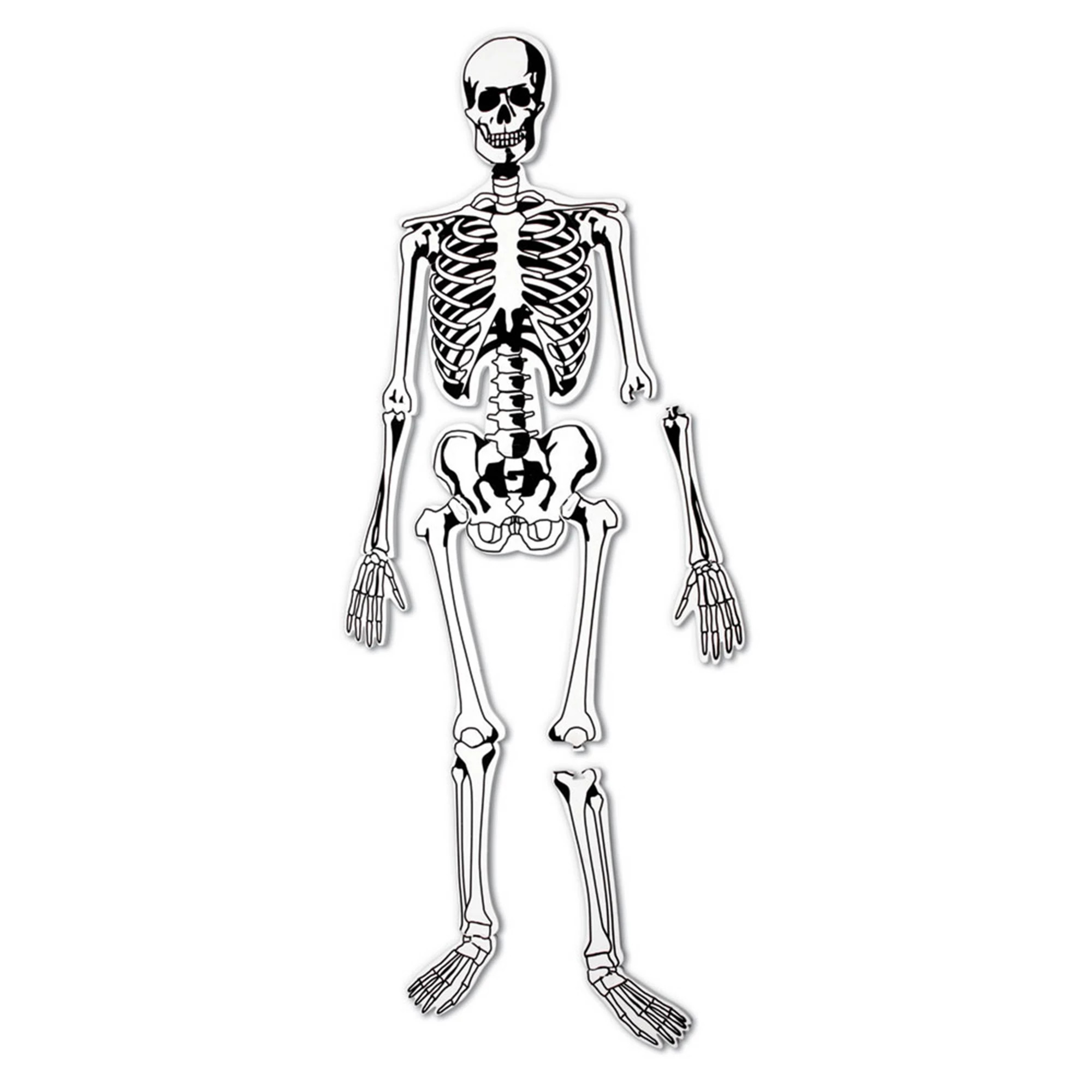 Skeleton Floor Puzzle by Learning Resources | Kohl's