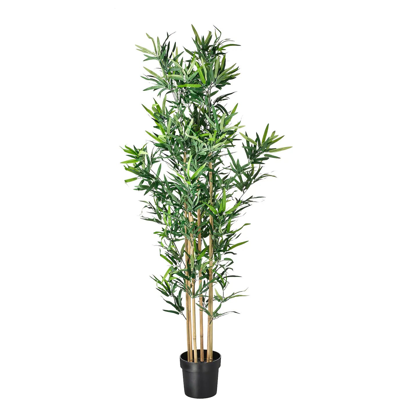 FEJKA Topfpflanze, künstlich, drinnen/draußen Bambus. Hier kaufen - IKEA Deutschland | IKEA (DE)
