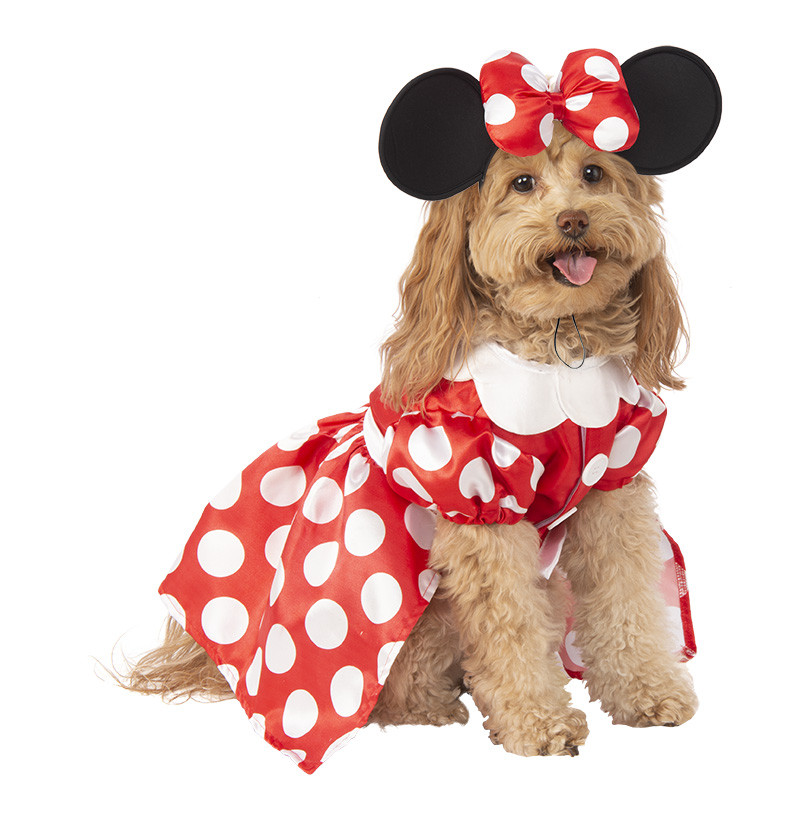 Disney Minnie Mouse Pet Halloween Costume Accessory for Dog or Cat | Walmart (US)