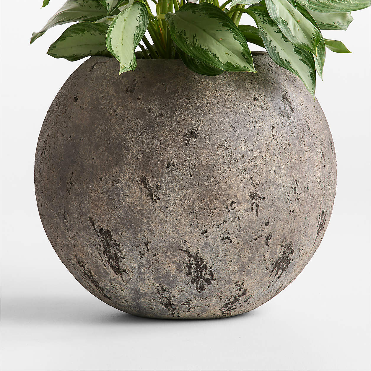 Sphere 22.5" x 26.0" Bronze Textured Indoor/Outdoor Planter + Reviews | Crate & Barrel | Crate & Barrel