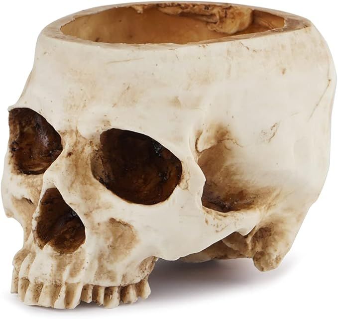 READAEER Skull Planter Candy Bowl Resin Skull Shaped Flower Pot for Home Office Desk Decorations | Amazon (US)