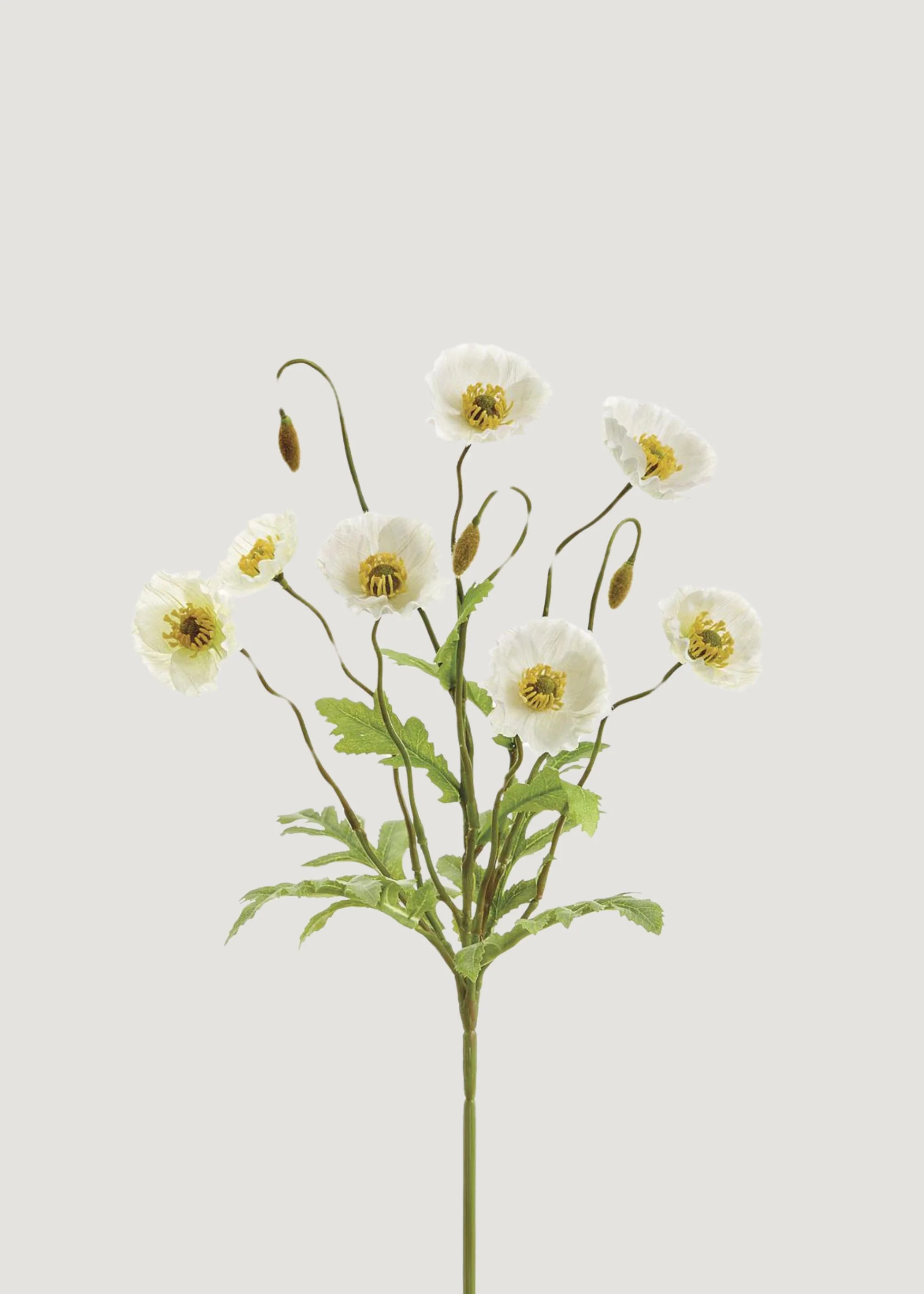 Faux Poppy Bush in Cream | Artificial Blooming Flowers at Afloral | Afloral