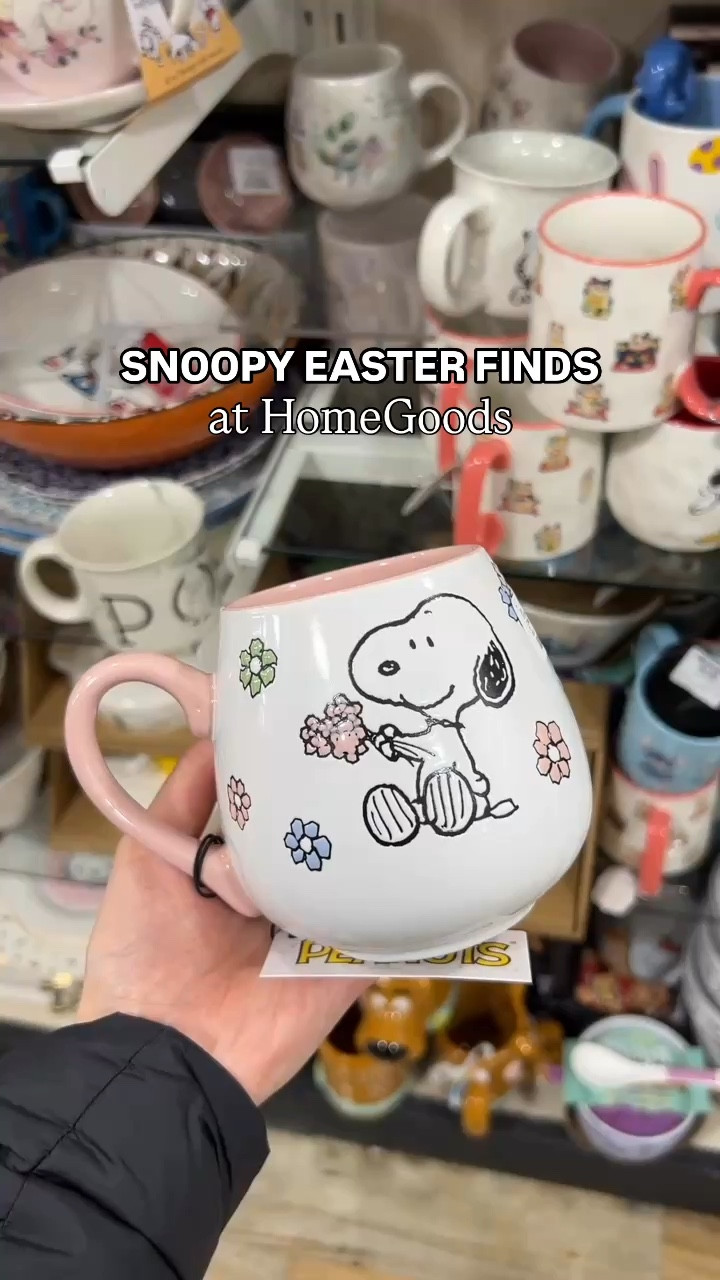 Recent Snoopy finds, including Spring/Easter themed items!☺️

#snoopy #homegoods #homedecor #kitchen #spring #easter #party 

#LTKHome #LTKSeasonal #LTKSaleAlert