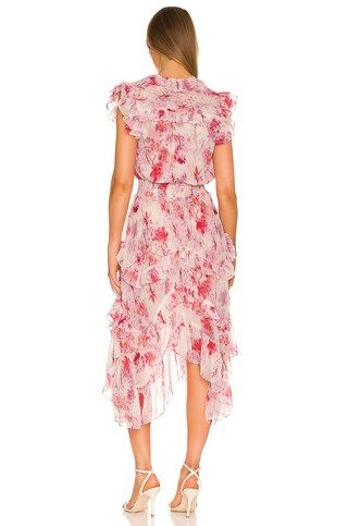 MISA Los Angeles Dakota Dress in Abstract Rose Flora from Revolve.com | Revolve Clothing (Global)