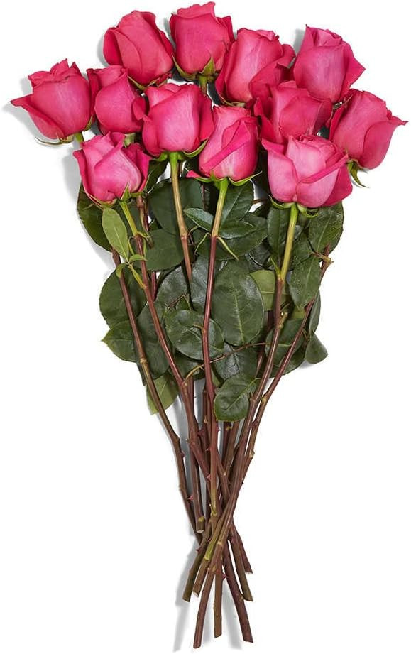 FLORAL Roses 12 Stem, 1 EA | Amazon (US)