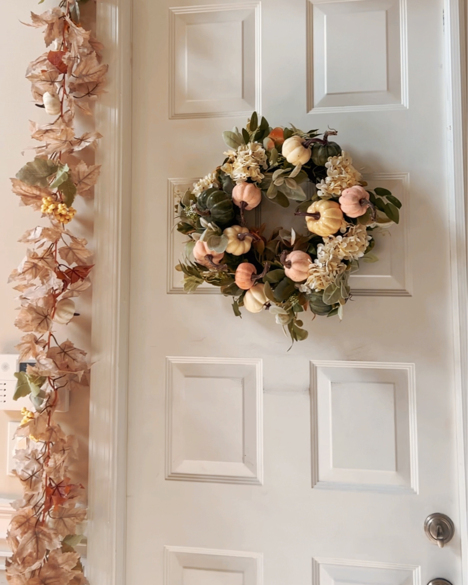 My fall decor this year! A lot of neutral fall colors, perfect for Thanksgiving and general fall vibes! All from Amazon

#LTKHome #LTKHoliday #LTKFindsUnder50