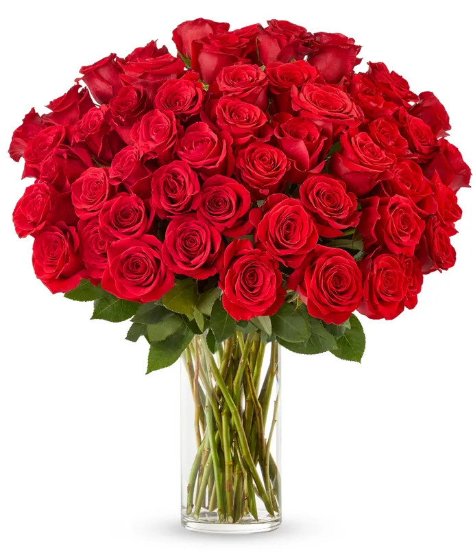 50 Stunning Long Stemmed Red Roses | From You Flowers