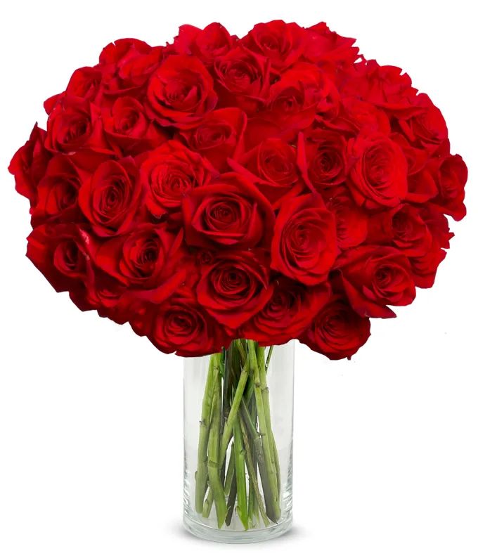 50 Stunning Long Stemmed Red Roses | From You Flowers