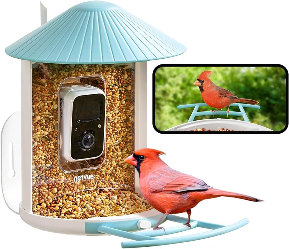 NETVUE Birdfy® Smart Bird Feeder with Camera, Bird Watching Camera, Auto Capture Bird Videos & M... | Amazon (US)