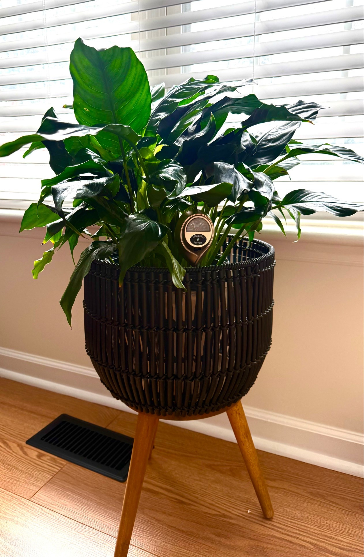 A planter that will work with any vibe 🌱🏁 grab yours at Walmart. You’ll be glad you did! 
