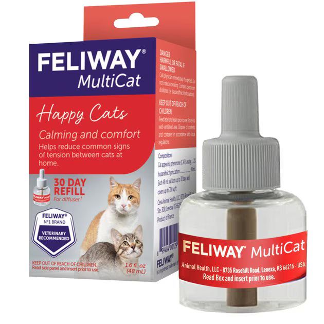 Feliway MultiCat Calming Diffuser Refill for Cats, 30 day | Chewy.com