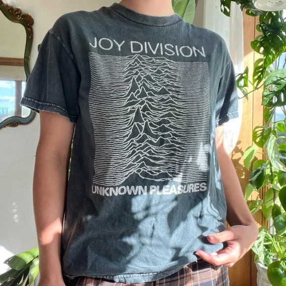 Brandy Melville Grey Cotton Joy Division Tee | Poshmark