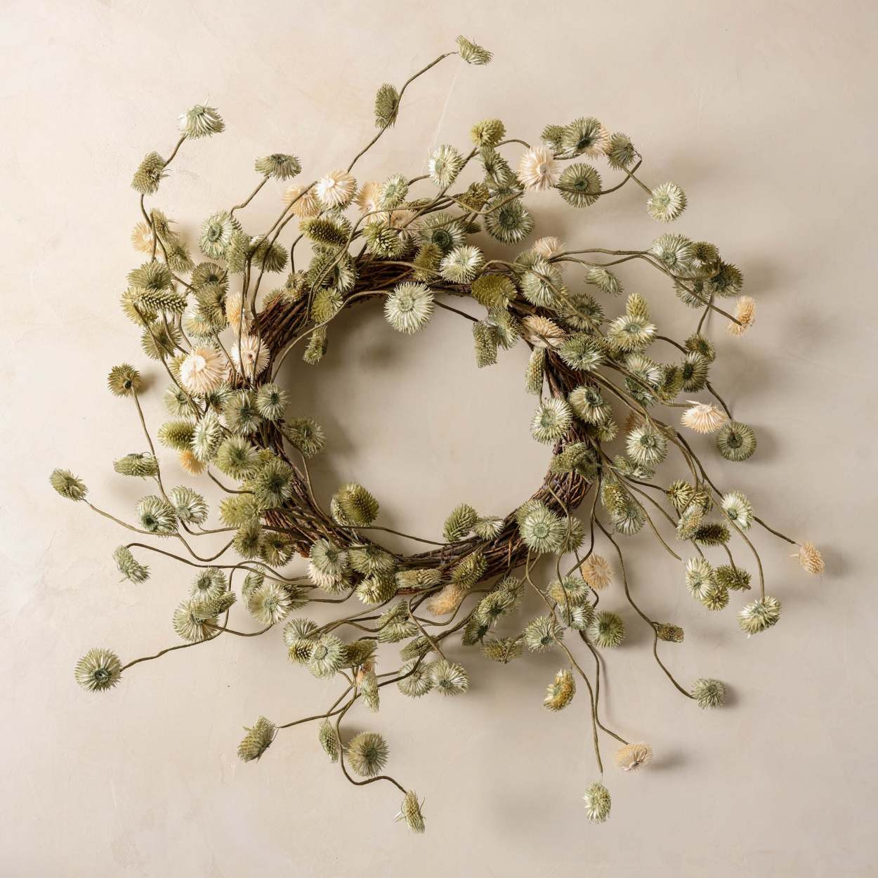 Green and Cream Platycarya Wreath | Magnolia