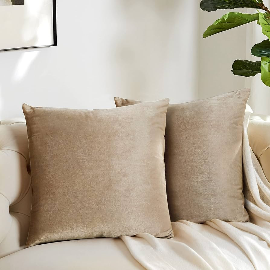 GIGIZAZA Decorative Throw Pillow Covers 16x16,Set of 2 Taupe Square Couch Pillow Covers,Velvet So... | Amazon (US)