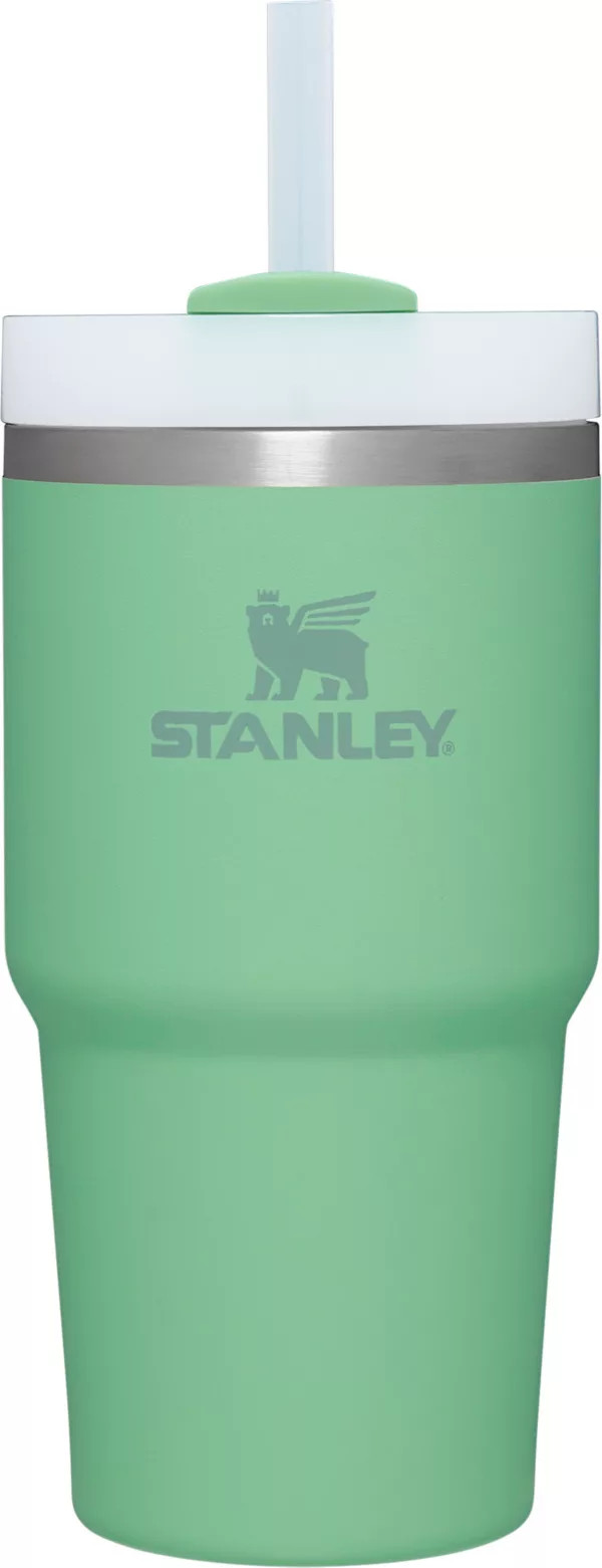 Stanley 20 oz. Quencher H2.0 FlowState Tumbler | Dick's Sporting Goods | Dick's Sporting Goods